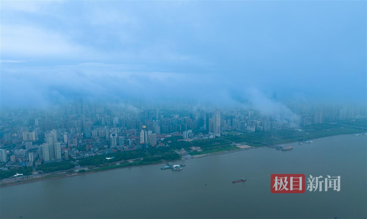 mg赌场体育官网